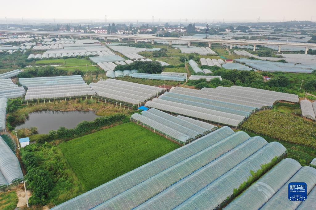 天吉彩论坛首页