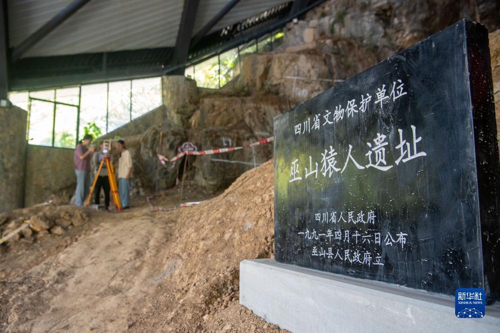 威尼斯下载地址